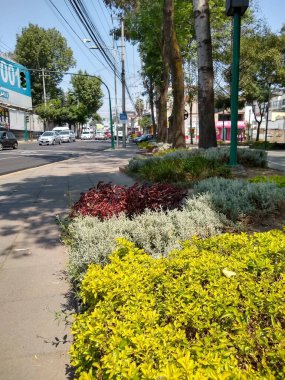 Parkta daha fazla hayat vermek için ağaçların etrafındaki ekiciler. Parkta daha fazla hayat vermek için ağaçların etrafındaki ekiciler. Birçok parkta, ağaçların etrafında küçük bahçeler inşa ettiklerini görebiliriz.