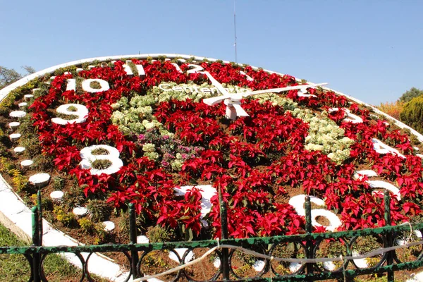 Годинник Пуебла Zacatln Las Manzanas — стокове фото