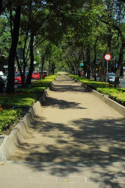 Paseo Reforma Een Van Meest Karakteristieke Straten Mexico Stad Deze — Stockfoto