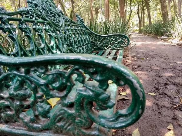 Klasyczna Zielona Metalowa Ławka Zatopionym Parku Mexico City — Zdjęcie stockowe