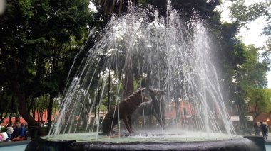 Çakallar çeşme Coyoacan, Mexico City