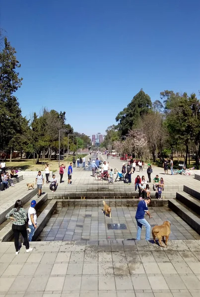 Visita Bosque Chapultepec Ciudad México Enero 2019 —  Fotos de Stock