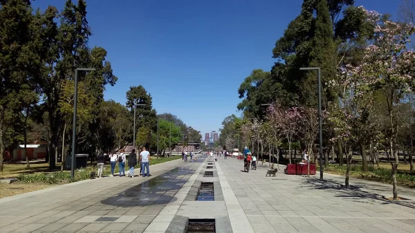 Visita Bosque Chapultepec Ciudad México Enero 2019 —  Fotos de Stock