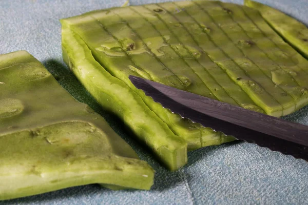 Prickly Pear Cactus Cut Cutting Board — Stok Foto