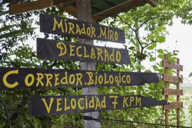 Mirador el Miro, 26 Aralık 2019 'da Kosta Rika' nın Jaco şehrinde biyolojik koridor ilan edildi.