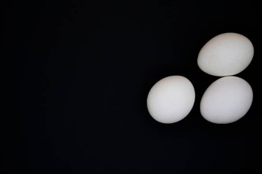 Siyah arka planda hazırlıksız beyaz tavuk yumurtası.