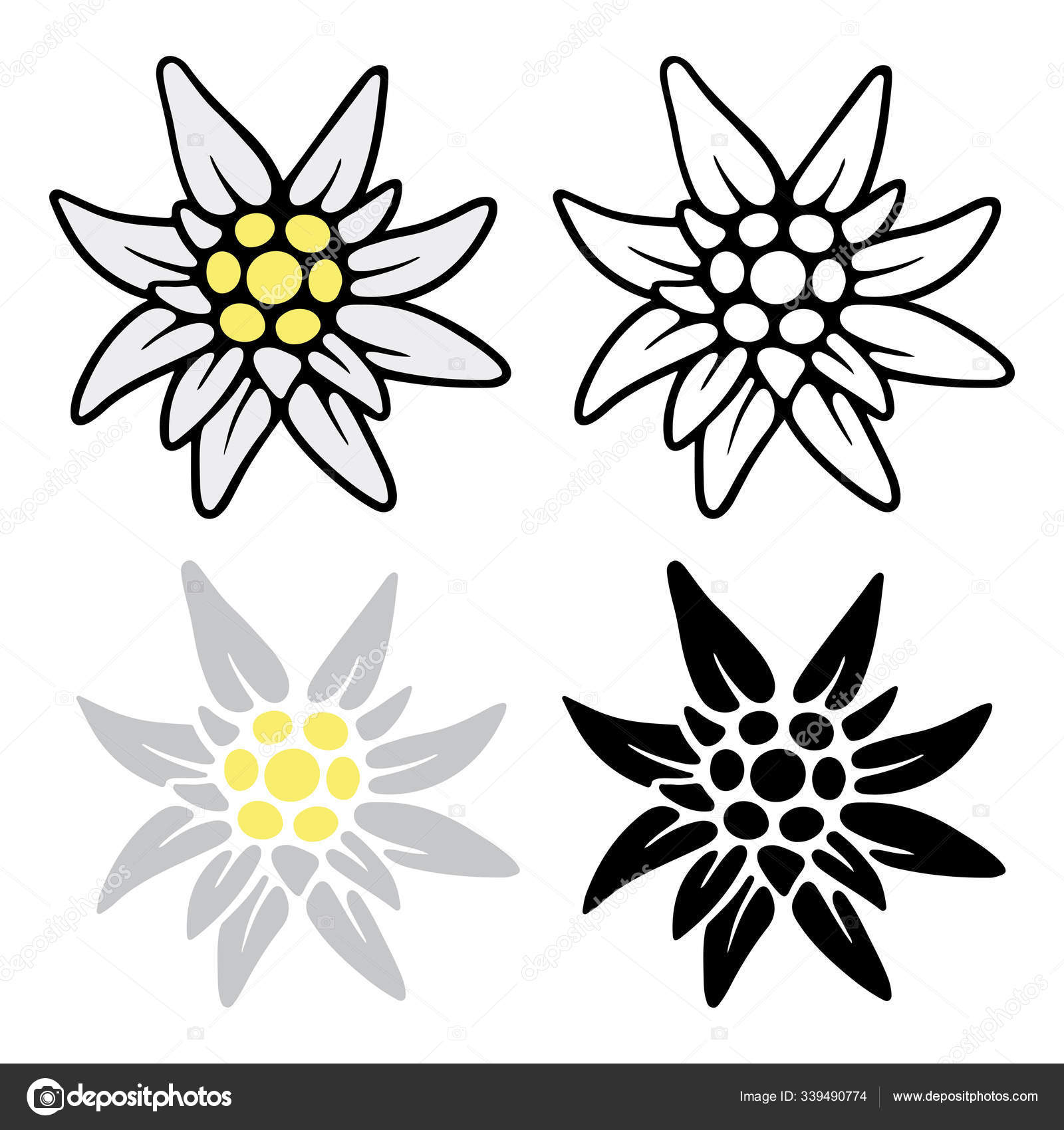 Edelweiss icon