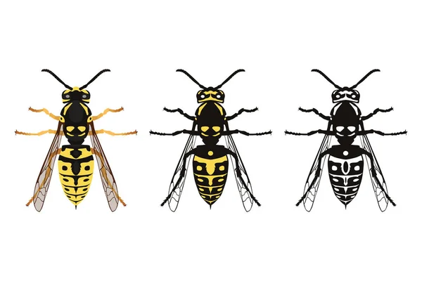 Avispa Vista Desde Arriba Hermoso Insecto Alado Estilo Dibujos Animados — Vector de stock