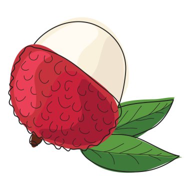 Lychee. Çin eriği. Pembe derili ve beyaz kokulu lezzetli meyveler. Tasarım ve web için beyaz bir arkaplanda izole edilmiş vektör illüstrasyonu.