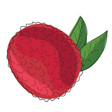 Lychee. Çin eriği. Pembe derili ve beyaz kokulu lezzetli meyveler. Tasarım ve web için beyaz bir arkaplanda izole edilmiş vektör illüstrasyonu.