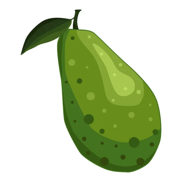 Abacate Fruto Verde Escuro Árvore Forma Pêra Com Uma Grande — Vetor de Stock
