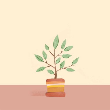 Ev bitkileri seramik kaplarda. Çiçek saksısında yeşil yapraklar. Yerli bitkiler. Bej arkaplanda yaprakları olan yeşil saksılar.