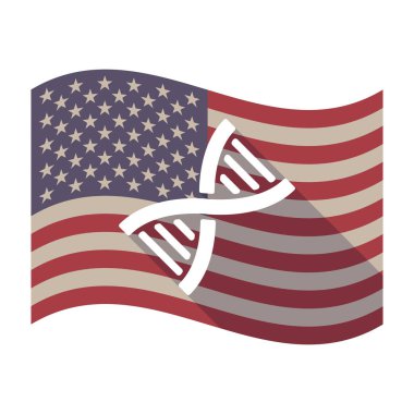 Uzun bir Dna işareti ile ABD bayrağı gölge