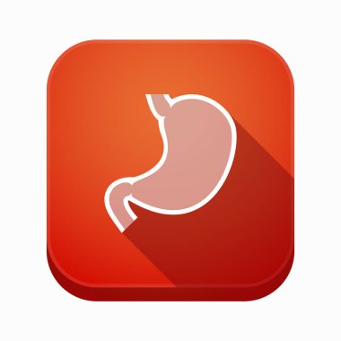 Sağlıklı bir insan mide ile izole app simgesi 