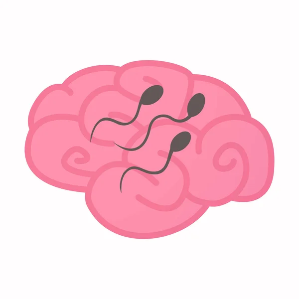 Isolated brain with sperm cells — Stock Vector