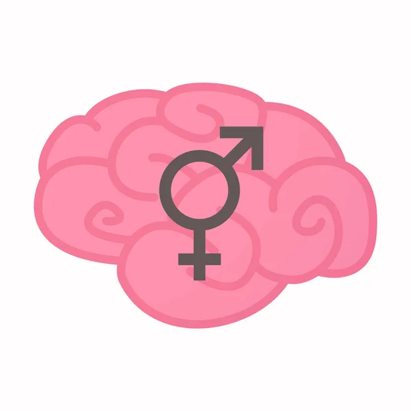 Isolated brain with a bigender symbol — Stock Vector