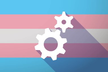 Uzun gölge transseksüel bayrağı ile iki vites