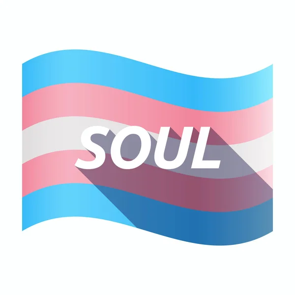 Изолированный трансгендерный флаг с текстом SOUL — стоковый вектор