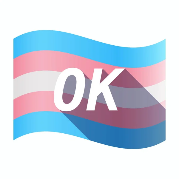 Isolerade transpersoner flagga med texten Ok — Stock vektor