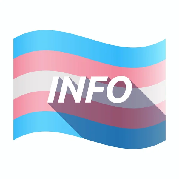 Изолированный трансгендерный флаг с текстом INFO — стоковый вектор