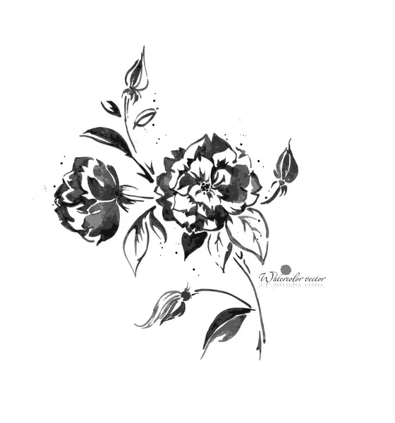 Чорно Біла Акварельна Квітка Білому Тлі — стоковий вектор