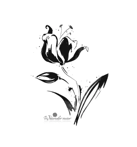 Černá Bílá Květina Akvarel Bílém Pozadí — Stockový vektor