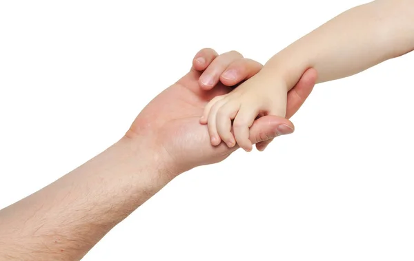 Hand of a small child holding her father's hand on white background — Stock Photo, Image