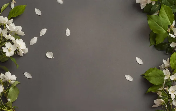 Gri zemin üzerine yeşil yaprakları ile beyaz elma çiçeği