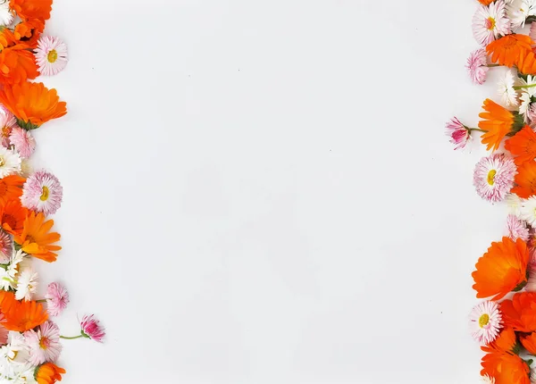 Рамка из цветов маргаритки и Мэриголд на белом фоне — стоковое фото