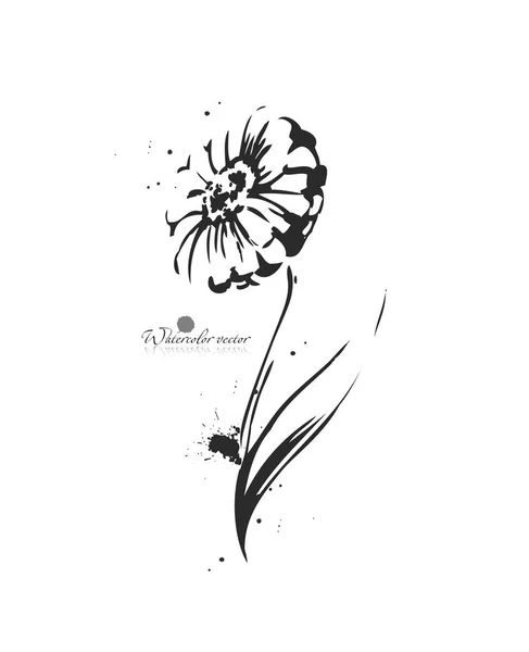 Graphic black-and-white flower hand-painted — Stock Vector