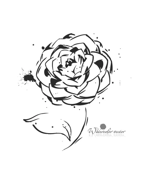 Grafik siyah-beyaz çiçek el-boyalı