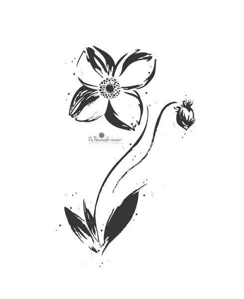 Ručně Malované Grafický Černobílý Květ — Stockový vektor
