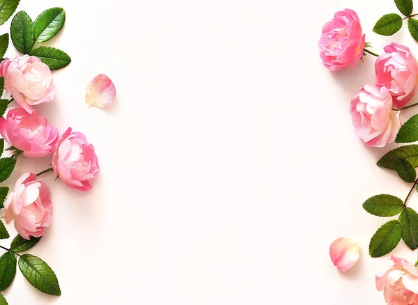 Gül beyaz arka plan üzerinde çerçeve çiçek