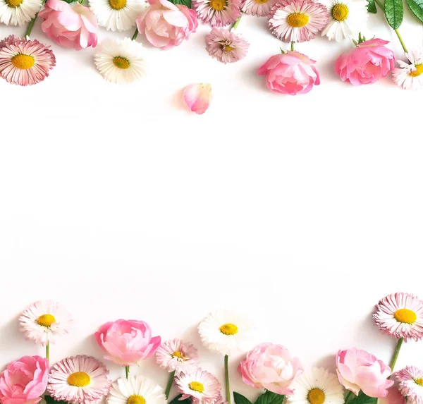 Güller ve beyaz bir arka plan üzerinde papatya çerçeve çiçek