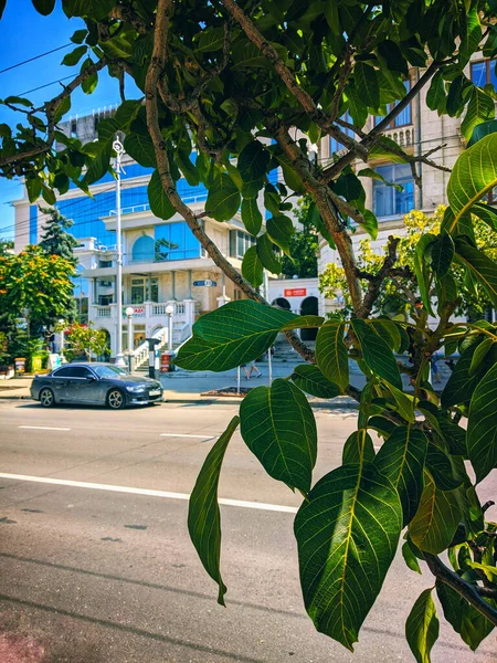 Lenina Caddesi 'ndeki alışveriş merkezinde. Sivastopol.