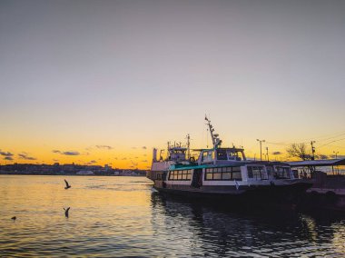 Kuşlar ve günbatımı. Severnaya. Sivastopol.