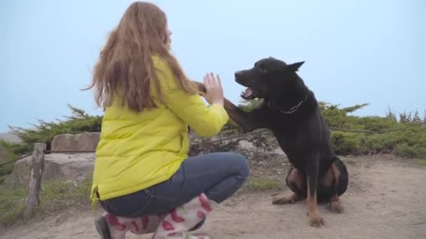 Uzun Kızıl Saçlı Açık Havada Dobermanıyla Oynayan Beyaz Bir Kız — Stok video