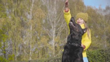 Siyah doberman, küçük sahibinin eline doğru bakıyor. Sarı paltolu ve hardal şapkalı şirin beyaz kız köpeğini eğitiyor. Sonbahar parkında sahibine sadık bir hayvan.