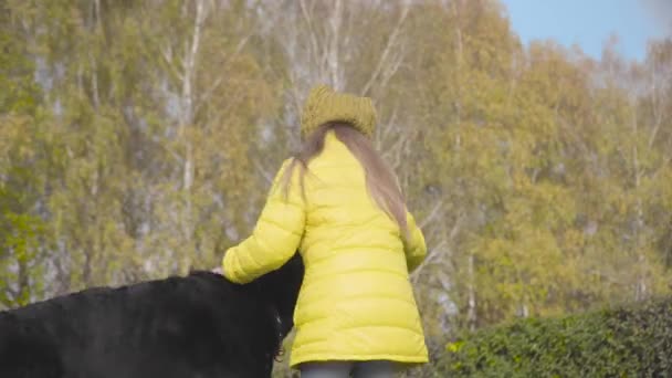 快乐可爱的白种人女孩穿着黄色外套在户外和黑狗玩耍 漂亮的大傻瓜绕着他的人类朋友转 人类和动物在秋天的公园休息 — 图库视频影像