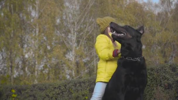 Linda Chica Caucásica Sombrero Mostaza Abrigo Amarillo Jugando Con Perro — Vídeos de Stock