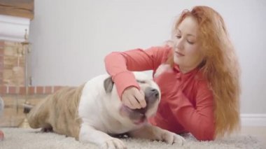 Evdeki halıda yatan ve Bulldog 'u besleyen uzun kızıl kıvırcık saçlı beyaz kadın portresi. Kadın evcil hayvanıyla evde vakit geçiriyor..
