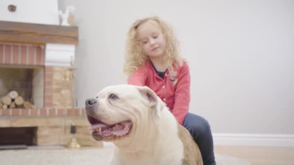 Arka planda beyaz ve kahverengi bulldog ve güzel beyaz küçük kız var. Çocuk, hayvan arkadaşıyla içeride dinleniyor. Köpekli neşeli çocuk.. — Stok video