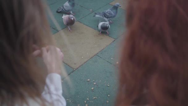 Shooting over shoulder of young Caucasian couple feeding pigeons. Redhead woman and man with long hair giving bread crumbs to birds. — Stock Video