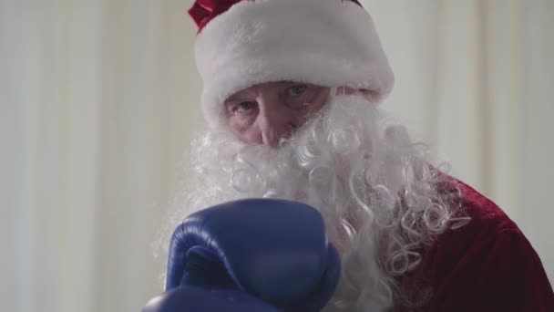 Portrait de Père Noël barbu drôle en gants de boxe bleu veut se battre gros plan. Le vieil homme menace de frapper l'air en regardant dans la caméra. Noël, vacances, mauvais Père Noël — Video