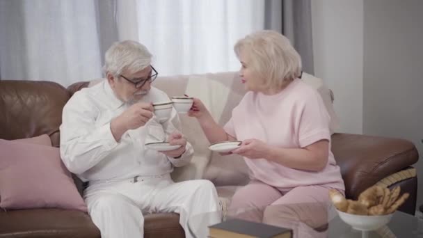 Cheerful elderly Caucasian couple clinking tea cups and talking. Joyful mature retirees spending free time at home. Lifestyle, leisure, happiness, marriage. — Stockvideo