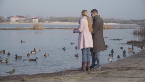 Positiva kaukasiska par med åldersskillnad utfodring ankor i stadsparken. Yngre man och äldre kvinna ler och pratar. Fritid, kärlek, dejting, livsstil. Brett skott. — Stockvideo