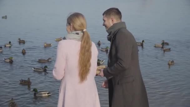 Pohled zezadu na bělocha a ženu, jak házejí jídlo kachnám plavajícím na řece. Uvolněný šťastný pár randí v parku na podzim. Volný čas, láska, vztah, životní styl. — Stock video