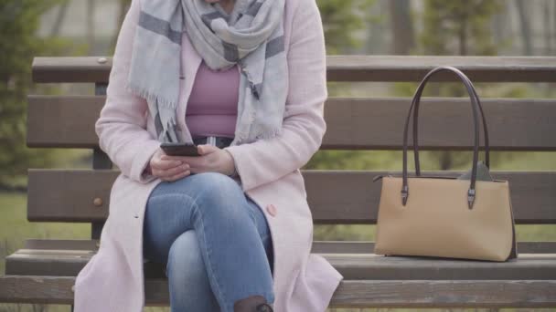 Male Caucasian hand stealing wallet from purse of unrecognizable woman absorbed with smartphone. Adult lady losing money in park as messaging. Crime, pickpocketing, device addiction. — Stock Video