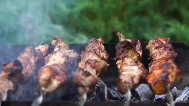 Close-up of pork meat grilling on bbq at the background of green summer grass. Tasty food preparing on barbecue grill outdoors. Lifestyle, cookout, leisure. — Stock Video