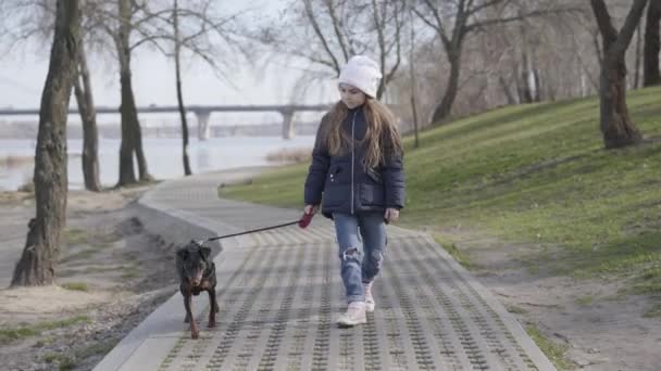 Porträtt av positiv liten flicka promenader med söt svart hund i parken. Fin brunett Kaukasiska barn i casual kläder promenader med vackra husdjur utomhus på solig dag. Livsstil, fritid, glädje. — Stockvideo